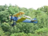 Is that a wing swinger?
