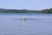 Jake loved the water