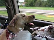 Jake heading to camp and homeward bound
