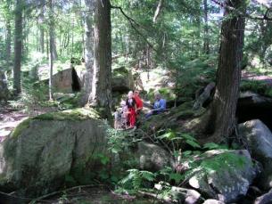 The path near Nelson Lake and Middle Branch of Moose River
