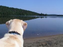 Jake waits for their return too