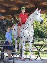 Eli the Jockey?
