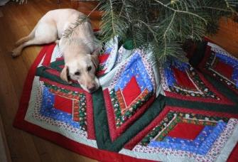 Jake appreciating the new tree quilt from Grandma