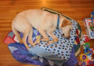 Jake takes a snooze
