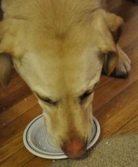 Jake enjoys his birthday cake!