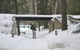 A backyard railroad we'd like to check out in summertime