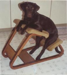 Morgan sits in her chair as a puppy