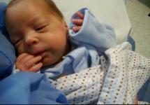 Noah - 9 weeks