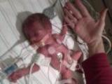 Newborn Noah