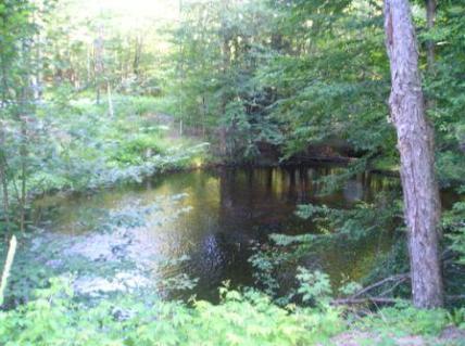 corner of Little Long Lake
