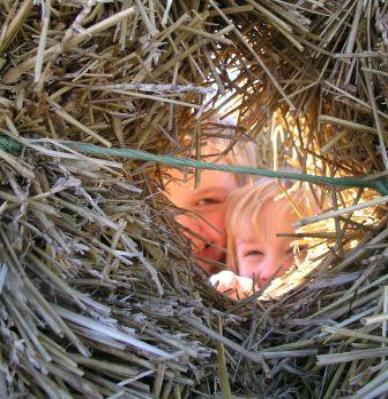 Peek-A-Boo!