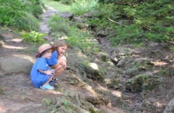debating if they want to check out the gully