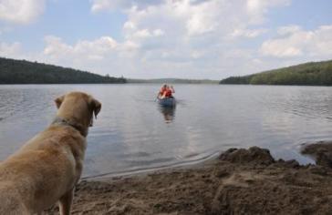 Jake awaiting their return from the island