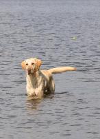 Lake Jake