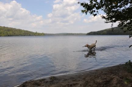 Jake spent HOURS just playing around shore